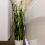 912 Apartamento Bucareste
